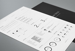 Professional Resume Template