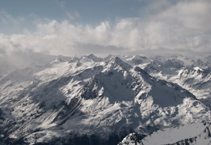 True Nature Free Photos