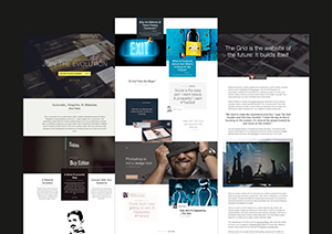 The Grid: Design Guideline PSD