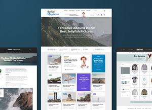 Baikal UI Kit: Samples