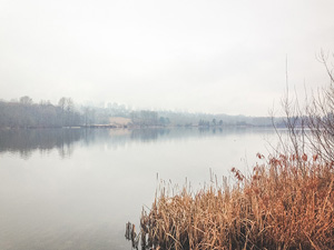 FlorianRamakers Free Photos