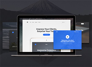 Baikal Startup – Free Sample