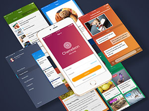 Chameleon UI Kit – Free Sample
