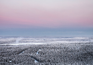 True Nature Free Photos Vol.3