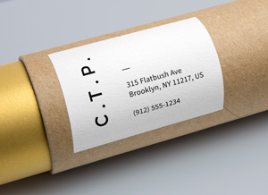 Cardboard Tube Packaging MockUp