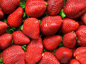 Tasty Textures Free Photos