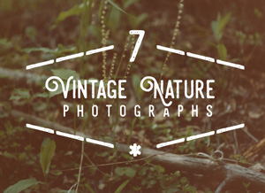 7 Vintage Nature Photographs