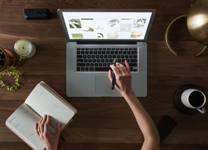 Business & Designer Flat Lay Free Photos